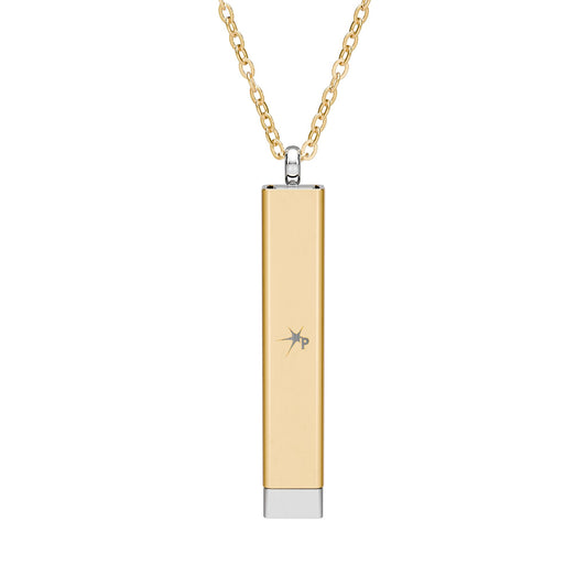 Petition. Hidden Message Pendant